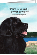 Pet Sympathy Newfoundland Dog Shakespeare Quote card