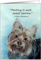 Pet Sympathy Yorkshire Terrier Yorkie Dog card