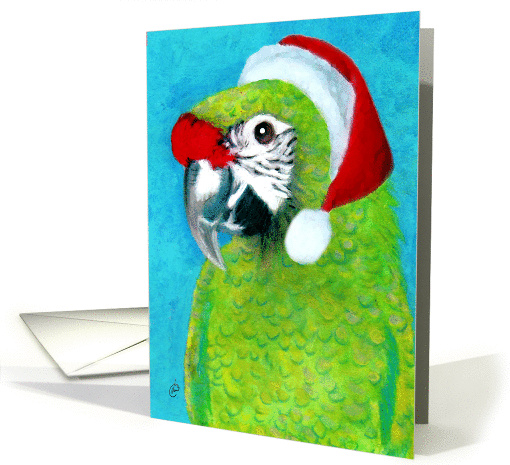 Military Macaw Parrot Santa card (314015)