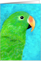 Eclectus Parrot Painting card