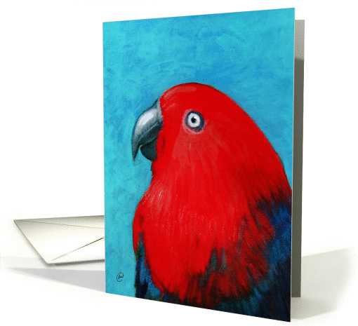 Eclectus Parrot Painting card (314045)