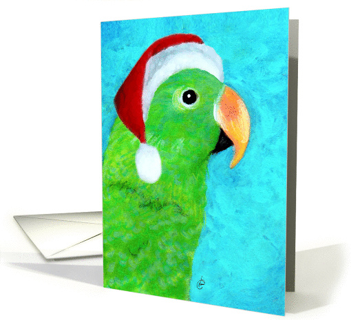 Eclectus Santa Parrot card (314057)
