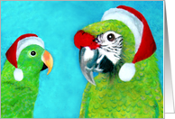 Eclectus & Military Parrot Santas card