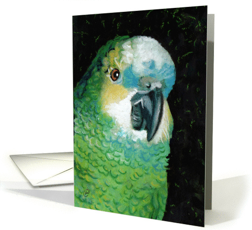 Blue Fronted Amazon Parrot Painting card (318744)