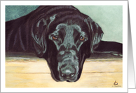 Labrador Dog Painting card