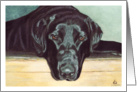 Labrador Dog Painting card