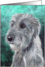 Irish Wolfhound Painting card