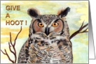 Give a Hoot - Owl card