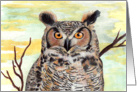 Great Horned Owl Painting card