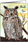 Owl Thank You for Giving Hoot card