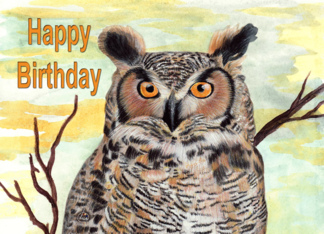 Happy Birthday Owl...