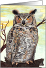 Great Horned Owl Art - All occasion card