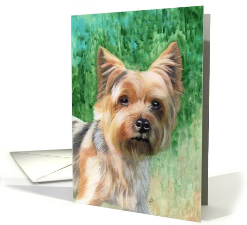 Silky Terrier Painting card (411526)