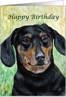 Dachshund Birthday Card