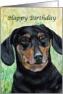 Dachshund Birthday Card