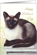 Mother's Day Siamese...
