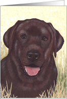 Labrador Retriever Painting card