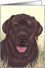 Labrador Retriever Painting card