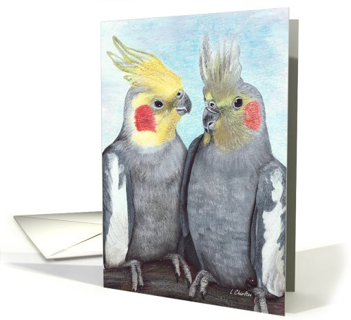 Cockatiels Parrot Painting card (432181)