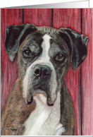 Boxer Dog Painting card