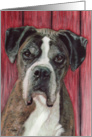 Senior Pet Painting card