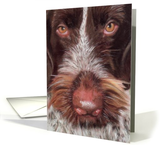 From Pet who 'Nose' card (435940)