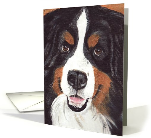 Smiling Bernese Dog Painting card (443002)