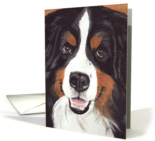 Bernese Mountain Dog Painting card (443012)