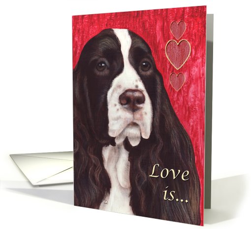 Springer Spaniel Painting card (482679)