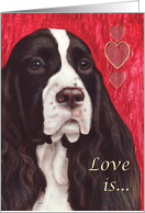 Springer Spaniel Painting card