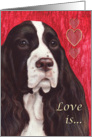 Springer Spaniel Painting card