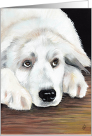 Great Pyrenees Dog Painting card