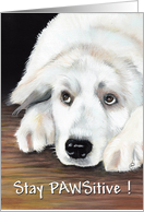 Stay PAWSitive Canine Painting card