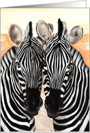 Zebras Painting card