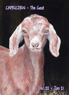 Capricorn Goat...