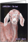 Capricorn Goat Zodiac Dec 22 - Jan 21 card