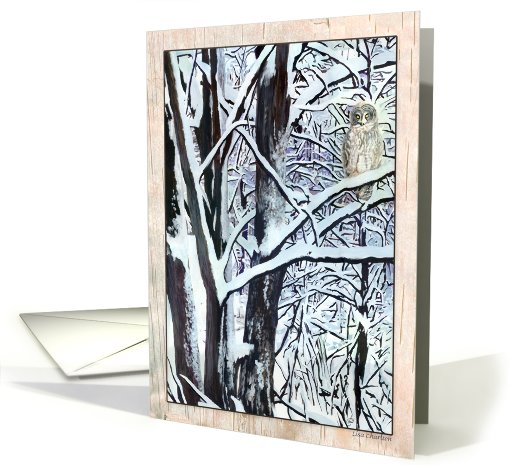 Great Gray Owl Christmas card (505678)