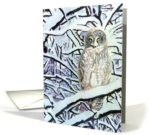 Great Gray Owl Happy Holidays card (505680)