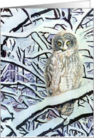 Great Gray Owl Happy Holidays card