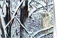 Great Gray Owl Painting card