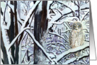 Great Gray Owl Painting card