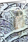 From You know ’Hoo’ - Owl Painting card