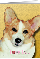 Corgi Painting Love...