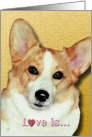 Corgi Dog Painting Love is card