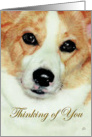 Friendship Dog Painting card