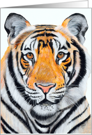 Born Year of the Tiger Painting card