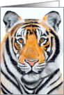 Born Year of the Tiger Painting card