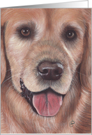 Golden Retriever Dog Any Occasion Pet Painting card