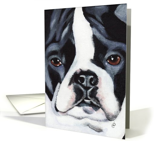 Boston Terrier Dog Breed Painting Portrait card (600189)