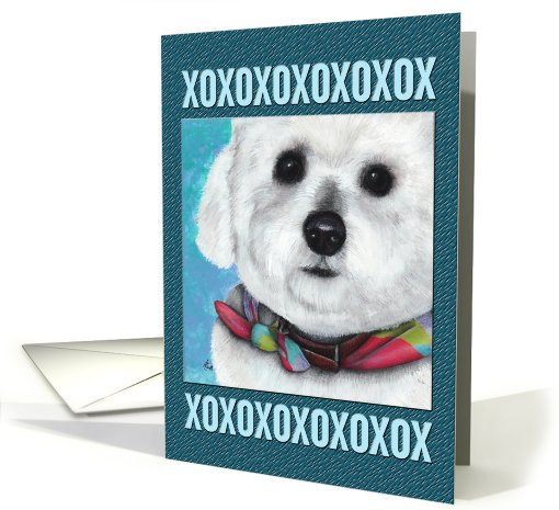 Bichon Maltese xoxox Puppy Dog Breed Painting Portrait card (600192)